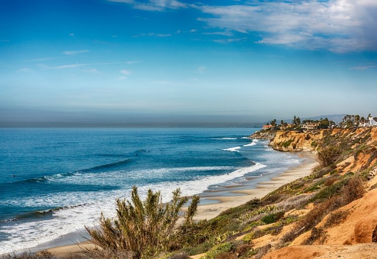 San Diego has 4 dog beaches